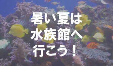 暑い夏は水族館へ行こう