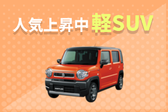 今人気上昇中軽SUV