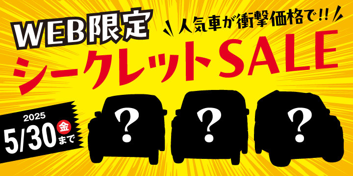 Web限定シークレットセール