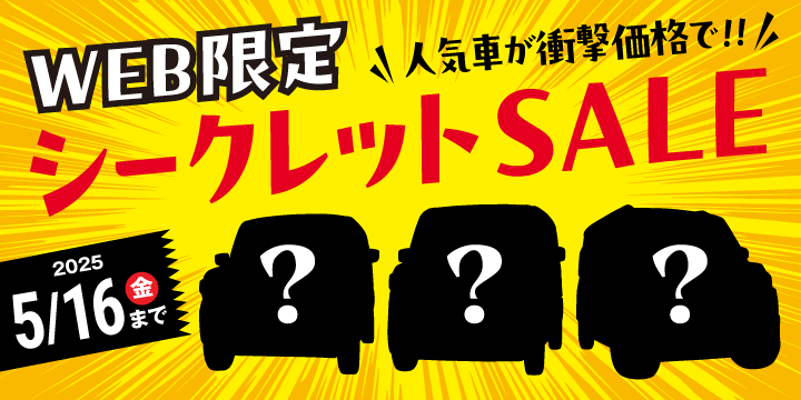 Web限定シークレットセール