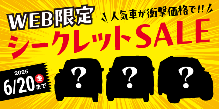 Web限定シークレットセール