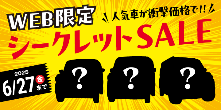 Web限定シークレットセール
