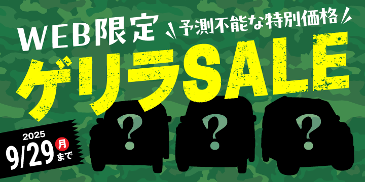 Web限定ゲリラセール