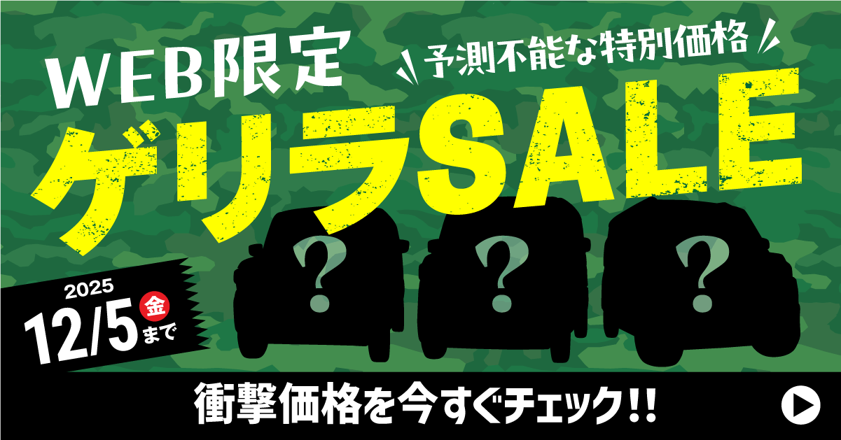 Web限定ゲリラセール