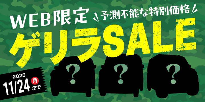 Web限定ゲリラセール