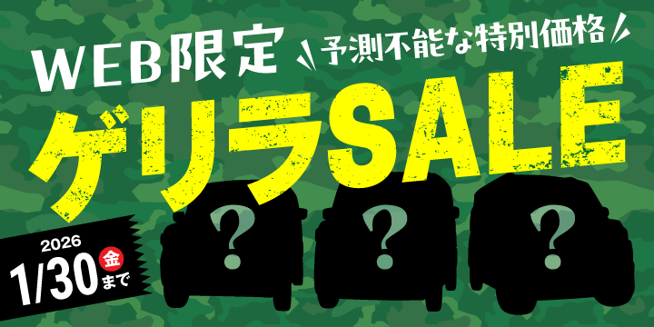 Web限定ゲリラセール