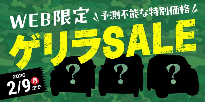 Web限定ゲリラセール