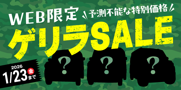 Web限定ゲリラセール