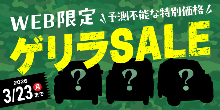 Web限定ゲリラセール